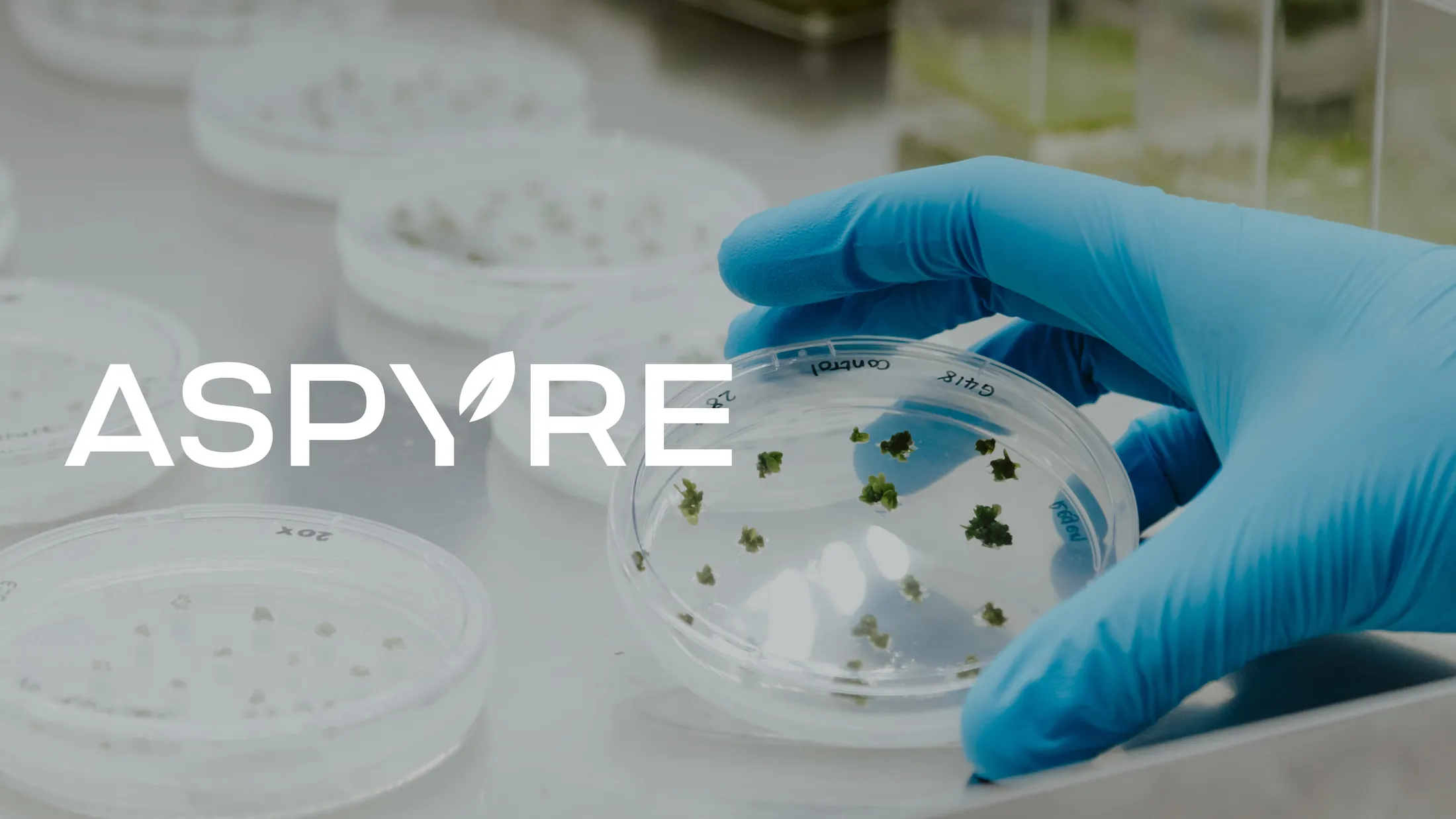 The Aspyre wordmark over duckweed samples in the lab