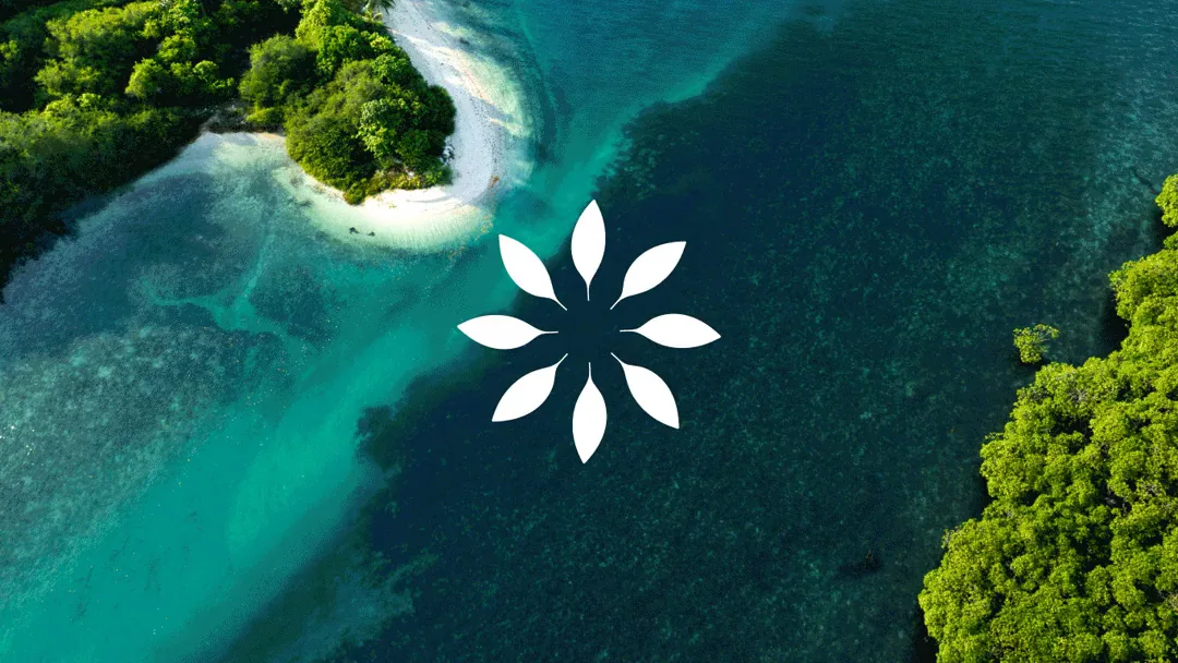 The radial mark over a coastal lagoon