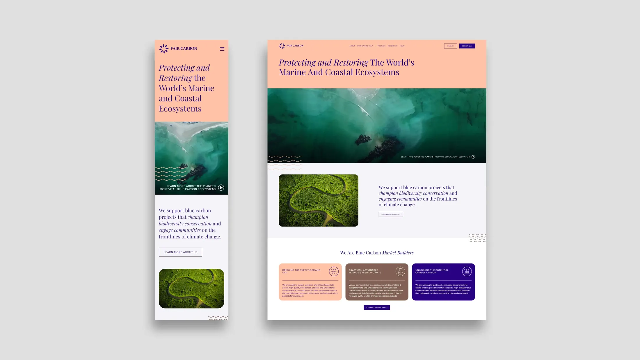 Fair Carbon pages on desktop and mobile